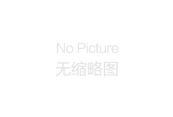無刷減速剎車電機(jī)TCL2838-B-PG28
